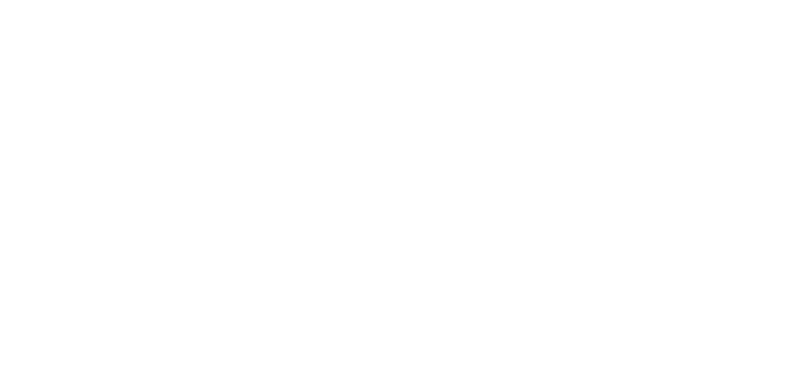 Data Theft